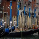 colors of Venice